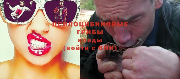 дмт Медвежьегорск