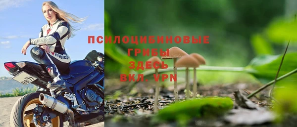 кокс Алзамай