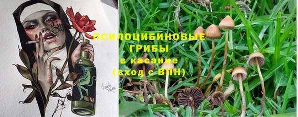 мяу мяу мука Алексеевка