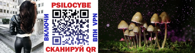 Псилоцибиновые грибы Cubensis  купить наркотик  кракен   Новая Ляля 